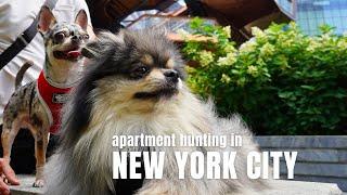 NYC Apartment Hunting Touring 5 Apartments w prices  Life in NYC