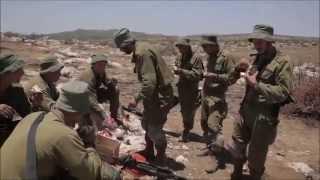 Israel Defense Forces - Tribute