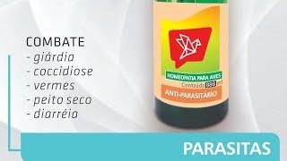 Anti-Parasitário. vermes coccidiose giárdia ameba peito seco diarréia protozoário e flagelados