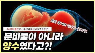 분비물이 많은 임산부 양수가 새는 것과 어떻게 구분하죠...?｜양수가 터졌을 때 샤워하면 안 된다?｜출산을 앞둔 임산부 필수 시청‍️- 노노산부인과 ep73