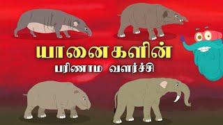 யானைகளின் பரிணாம வளர்ச்சி  Evolution Of Elephants  Dr. Binocs Tamil  Kids Learning Video