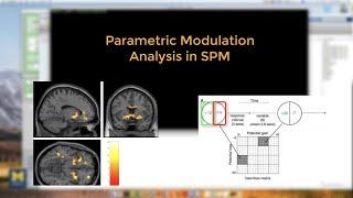 Parametric Modulation in SPM