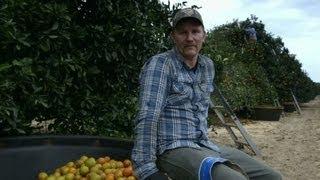 Morgan Spurlock becomes a fruit picker