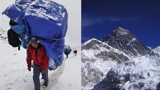 Why SHERPAS Are So STRONG On The Mountains?