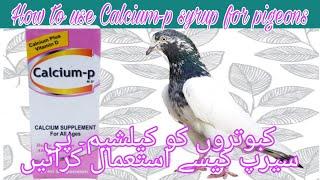 How to use Calcium-p syrup for pigeonsurduhindi#majidpigeoncare #sialkoti #sialkotikabootar#viral