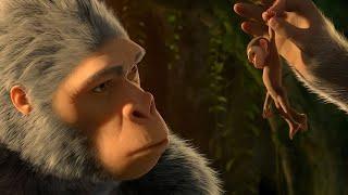 ملك القرود قرر يقتل ابنه لانه ضعيف لكن الابن ينجو ويكبر ويسيطر على القبيلة  animal kongdom