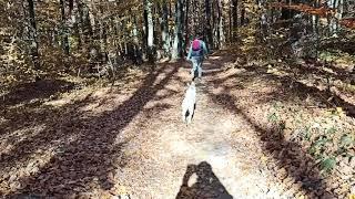 Luna runs towards her mom in the woods 2021-10-23