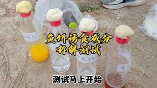 钓鱼饵料成分拆解测试，看看维生素B2、糖分、味精等等谁在起作用分享钓鱼知识