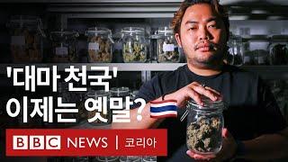 오락용 대마초 다시 규제?...흔들리는 태국의 녹색 금 대마 산업 - BBC News 코리아