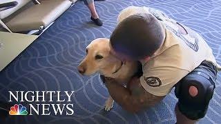 Meet The Woman Reuniting Vets With Their Retired Service Dogs  NBC Nightly News