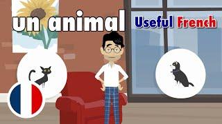 Learn Useful French Choisir un animal de compagnie - Choosing a Pet