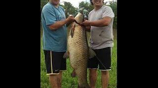 Pesca de Carpa 3145 kgs 693 lbs. Cordoba. Argentina. Fishing carp. www.aquipesca.com carpas