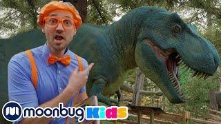 Natural History - Learn about Dinosaurs・BLIPPI EXPLORES  Educational Videos for Toddlers