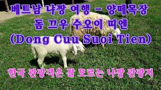 베트남 냐짱나트랑 여행 - 양떼목장Đồng Cừu Suối Tiên