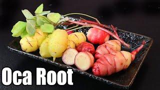 OCA ROOT  The Colorful South American Root That Tastes Delicious - Amazing Plants