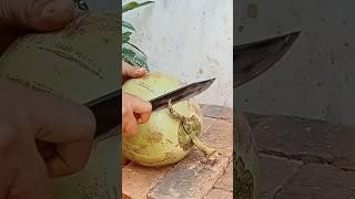 Sliced Coconut Peeling Styles #cuttingskills  #coconutcuttingskills #youngcoconut #coconutwater