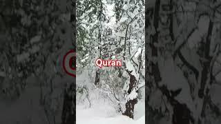 Al Quran  Surah Juma ayat no 9  urdu translation #status #qurantranslation