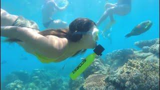 DES ACTIVITES ET DES SPORTS NAUTIQUES AMUSANTS POUR PASSER UN BEL ÉTÉ Paddle surf électrique...