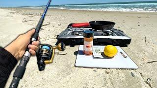 SOLO Beach Fishing.. Eating Whatever I Catch Catch and Cook