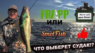 FRAPP или SmolFish??? Судаки на Рыбинском водохранилище