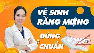 Cách Vệ Sinh Răng Miệng ĐÚNG & CHUẨN  Nam Bùi Vinalign