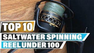 Best Saltwater Spinning Reel Under 100$ In 2023 - Top 10 Saltwater Spinning Reel Under 100$ Review