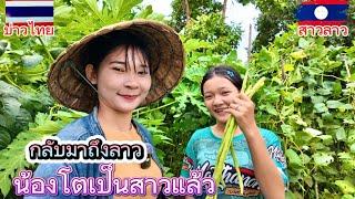 กลับมาถึงลาวเช้านี้น้องสาวพาไปเลาะสวนผัก รับสมัครน้องเขยนำเด้อจ้า..#บ่าวรันนี่สาวตาดำ