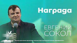 Награда. Евгений Сокол 7 июля 2024