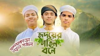 হৃদয়কাড়া নতুন গজল । Hridoyer Gohin Bone । হৃদয়ের গহিন বনে । Kalarab । Holy Tune