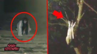 Kuntilanak Merangkak dan Muncul di Atas Pohon.. 4 Penampakan Hantu Terjelas yang Menyeramkan