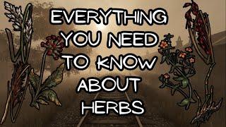 Everything You Need to Know About Picking Herbs  Pathologic 2