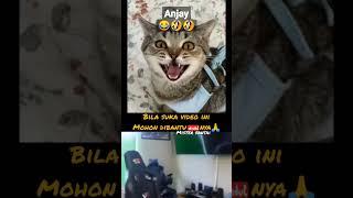 Ketahuan colmek#ngakakkocak #shorts #meme #video #viral