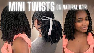 My Mini Twist Routine on Natural Curly Hair  Protective hairstyle No heat No hair added