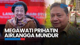 Megawati Prihatin Dengar Airlangga Mundur dari Ketum Golkar Khawatir Kehidupan Demokrasi ke Depan