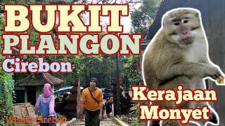 WISATA BUKIT PLANGON CIREBON #bukitplangon #monyet #kera