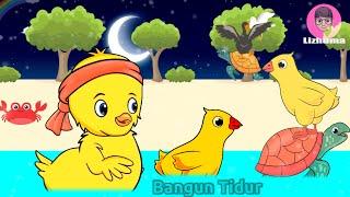 Bebek berenang Asik Bangun Tidur kuterus mandi  Lagu anak anak