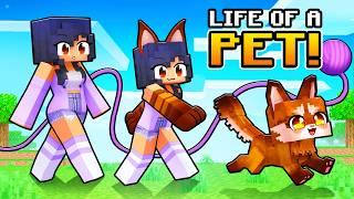 Having a PET LIFE in Minecraft