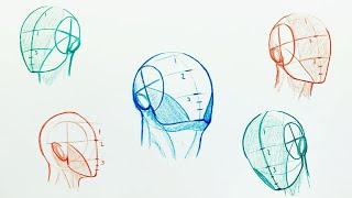 How to Easily Draw Heads  Understanding the Loomis Method