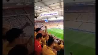 Румынские болельщики на матче с Украиной на Евро-2024 скандируют «Путин Путин» с флагом «ДНР»
