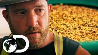 Rick’s First Ever Gold Weigh In  SEASON 9  Gold Rush