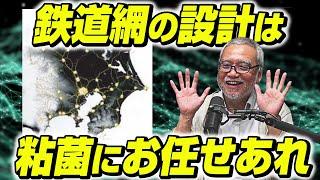 粘菌と鉄道会社。より良い路線図を作れるのはどっち？【粘菌2】#94