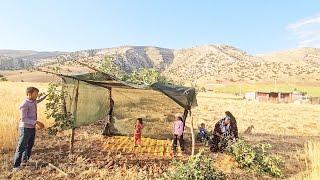 Majids nomadic familys effort to get rid of the crisis situation