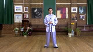 Tai Chi 24 Form Step by Step Instructions Paragraph 3