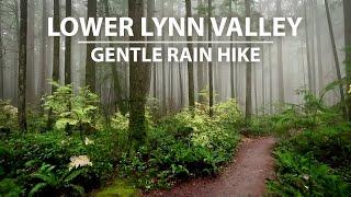 Relaxing Rainy Virtual Hike through Lower Lynn Canyon North Vancouver BC Canada