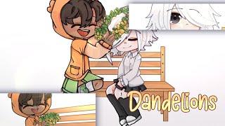 「」Dandelions. . .∕O Incrível Mundo de Gumball ∕Darwin x Carrie「」