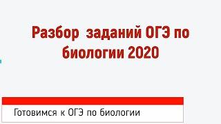 РАЗБОР ЗАДАНИЙ ОГЭ ПО БИОЛОГИИ 2020