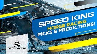 Grade 3 Daytona Stakes Preview & Picks  Santa Anita Park 7th Race Saturday 5272023