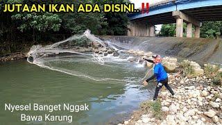 SAMPAI MERINDING. ikan dari mana asalnyajala ikan dibawah jembatan angkerlihat hasilnya..