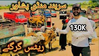 Peshawar Sarband Mandi Rates Kaafi gir gaye Maweshi mandi Pakistan cow mandi 2024 bakra eid