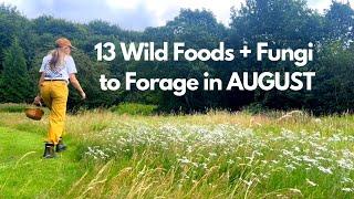 13 Wild Foods to Forage in August  UK Fungi & Medicinal Plants